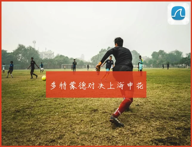 多特蒙德对决上海申花