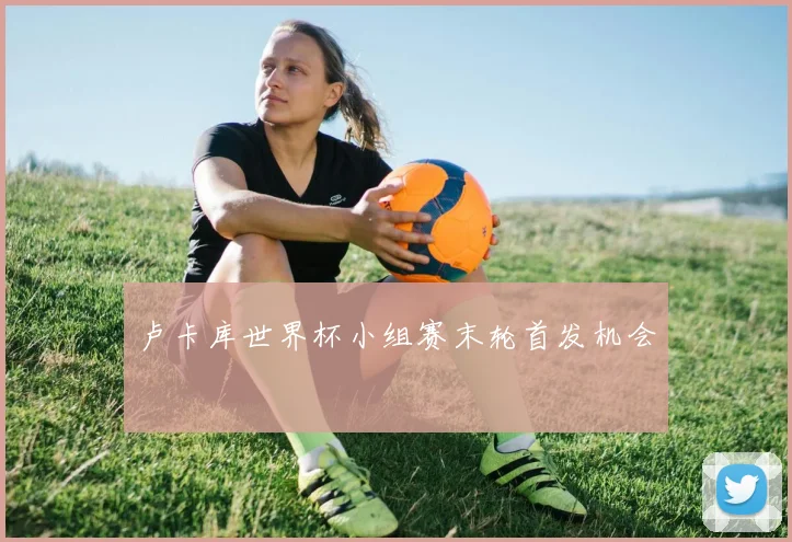 卢卡库世界杯小组赛末轮首发机会