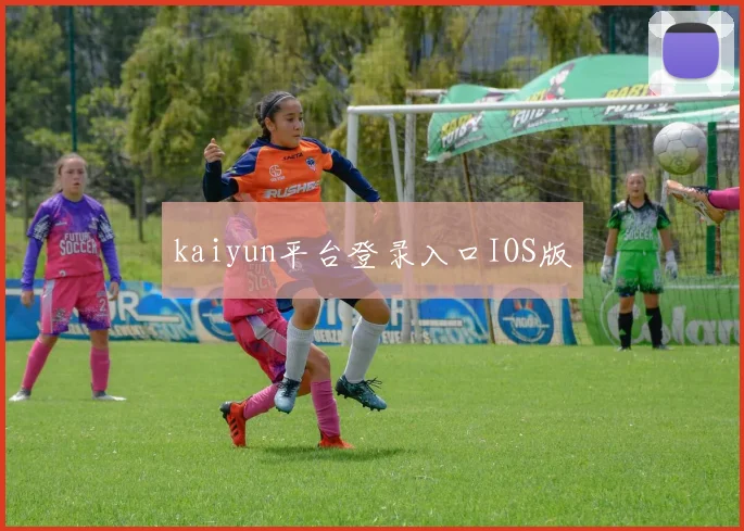 kaiyun平台登录入口IOS版