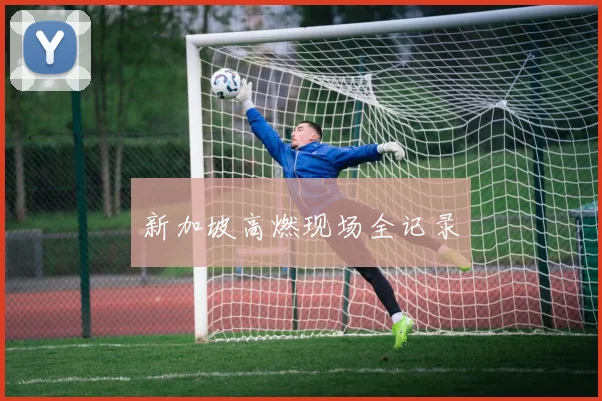 新加坡高燃现场全记录