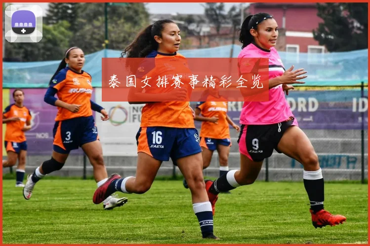 泰国女排赛事精彩全览