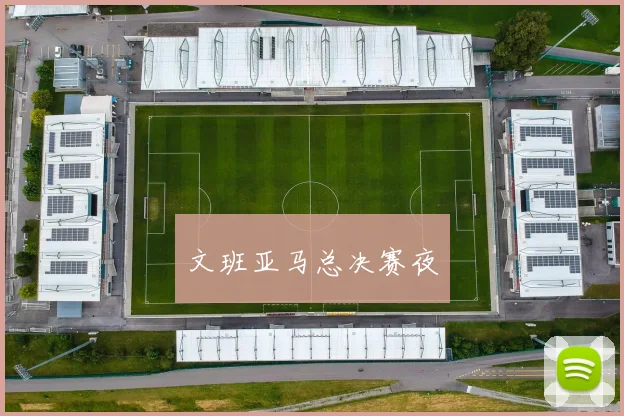 文班亚马总决赛夜