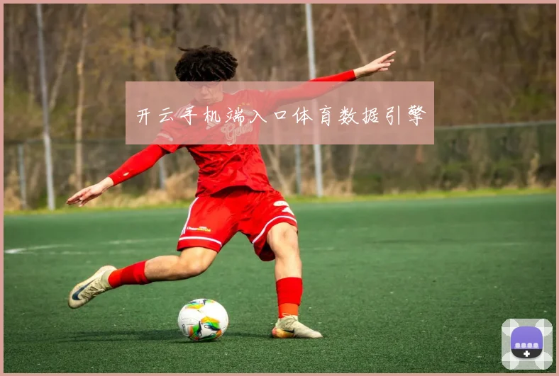 开云手机端入口体育数据引擎
