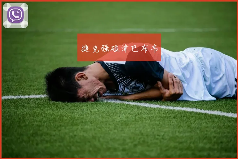 捷克强碰津巴布韦