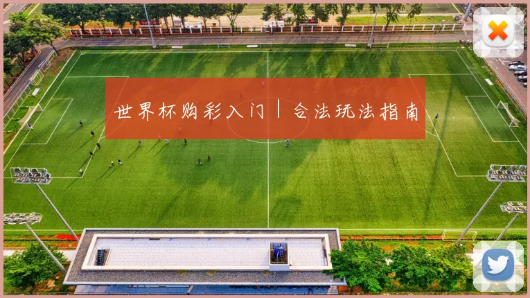世界杯购彩入门|合法玩法指南