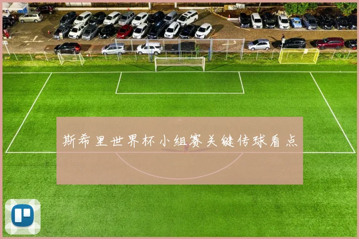 斯希里世界杯小组赛关键传球看点