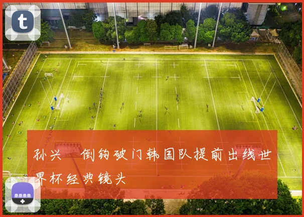 孙兴慜倒钩破门韩国队提前出线世界杯经典镜头
