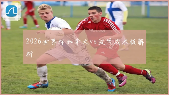 2026世界杯加拿大vs波黑战术板解析