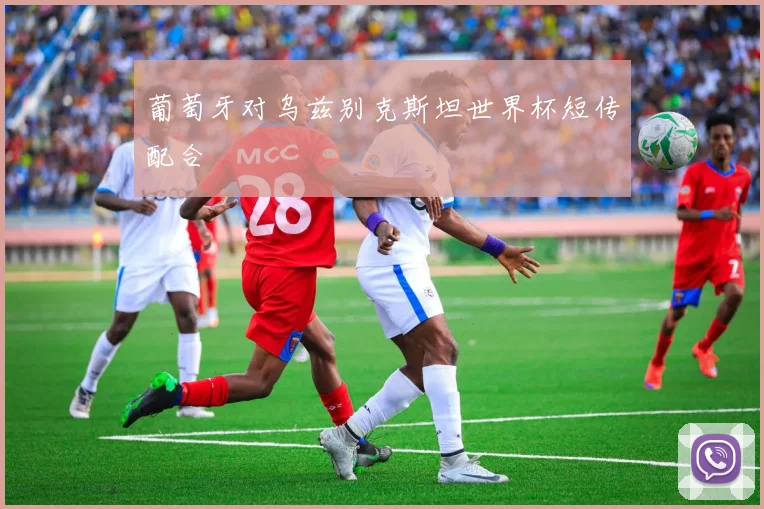葡萄牙对乌兹别克斯坦世界杯短传配合