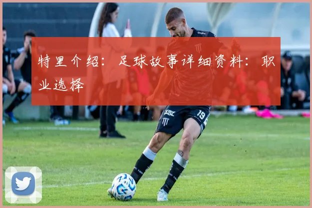 特里介绍:足球故事详细资料:职业选择