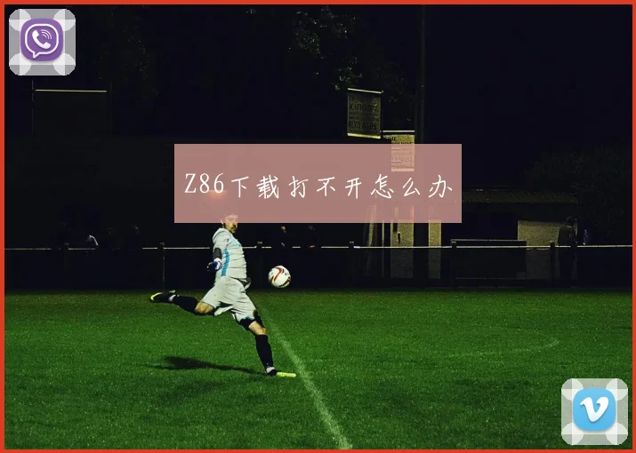 Z86下载打不开怎么办