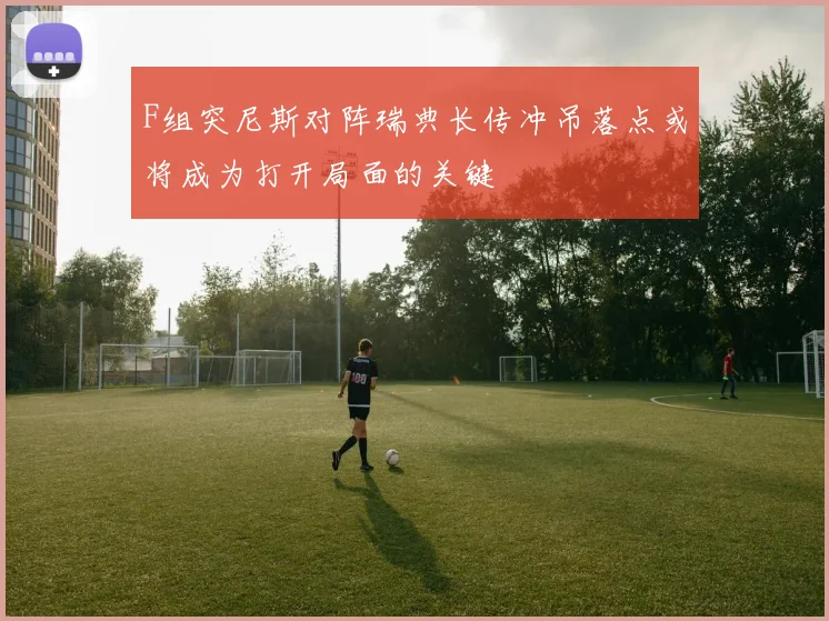 F组突尼斯对阵瑞典长传冲吊落点或将成为打开局面的关键
