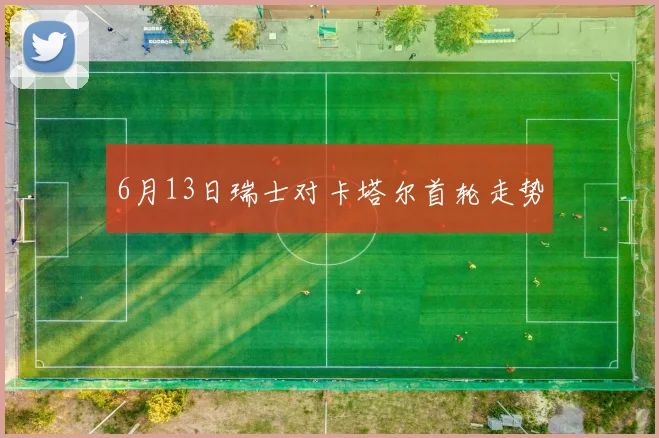 6月13日瑞士对卡塔尔首轮走势